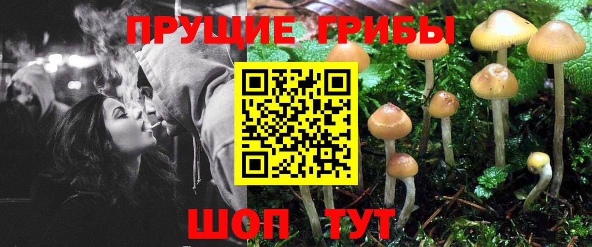 Галлюциногенные грибы мухоморы  Псилоцибиновые грибы Magic Shrooms  где найти   Глазов  Вход с VPN 