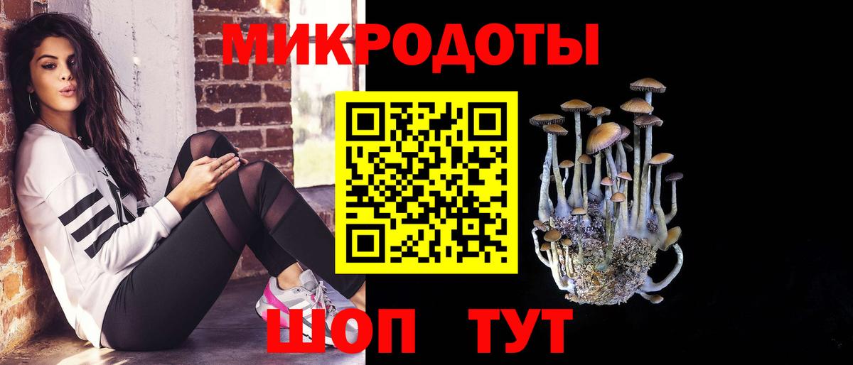 Псилоцибиновые грибы Psilocybine cubensis Глазов